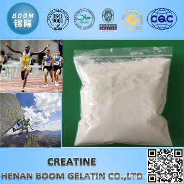 new products micronized creatine powder bulk